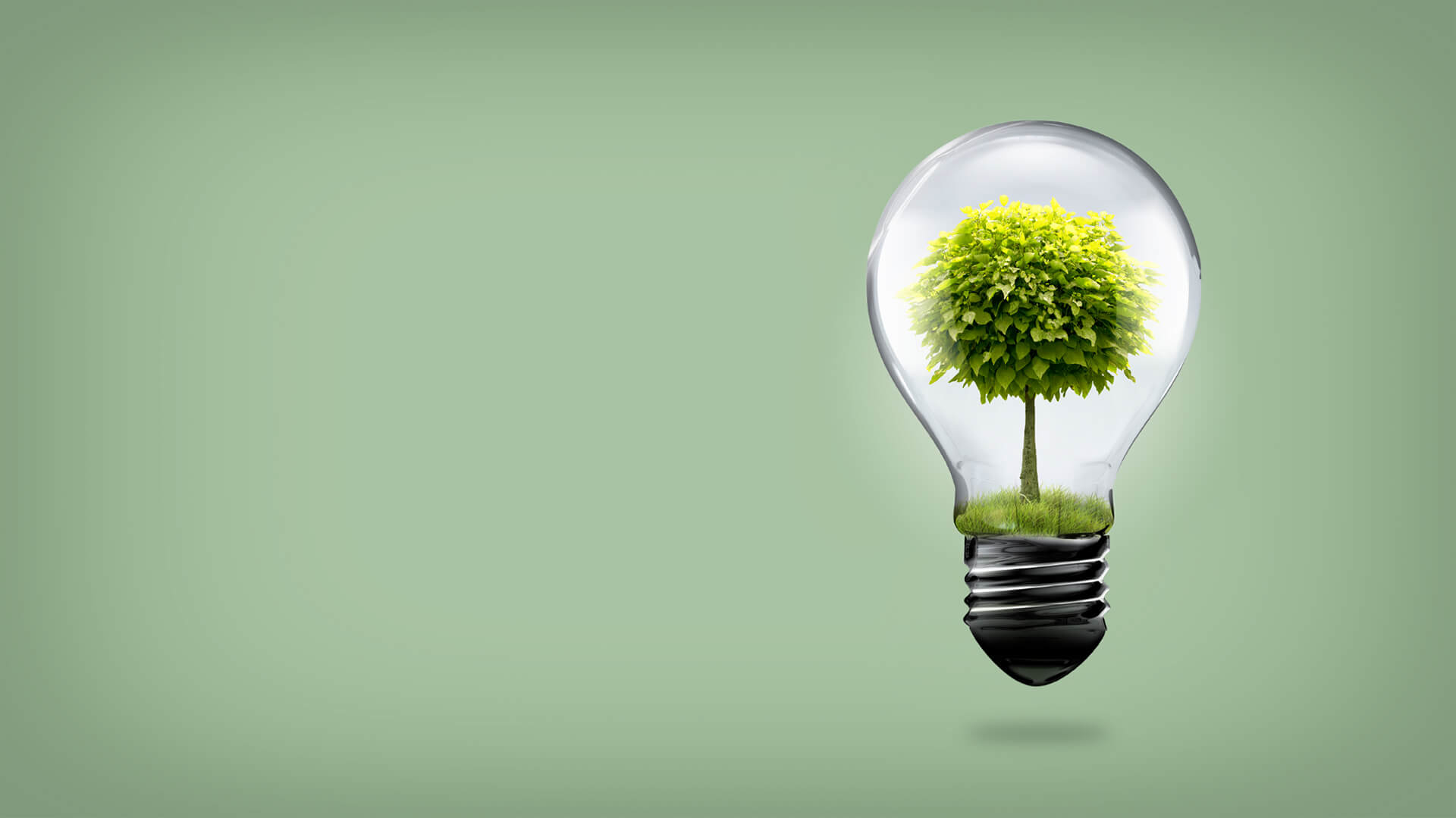 LED bulb with a green tree inside, symbolizing the environmental and budget-friendly benefits of property management LED lighting.